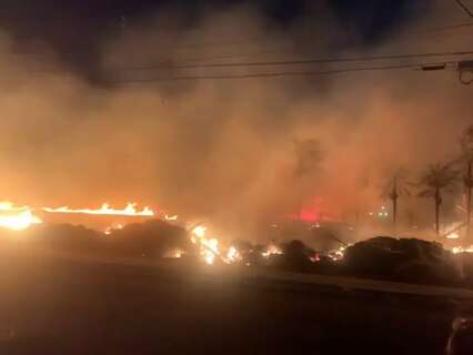 Incêndio queima vegetação e se alastra por terreno no Taveirópolis