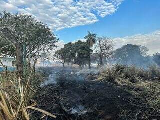 Cinza e fumaça no terreno da avenida José Barbosa Rodrigues (Foto: Marcos Maluf)