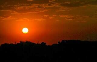 Pôr do Sol em Campo Grande nesta sexta-feira no Parque Ayrton Senna (Foto: Juliano Almeida)