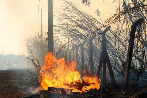 Incêndio em área de reserva encobre Taquaral Bosque de fumaça