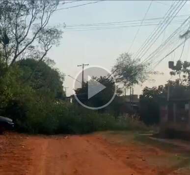 &Aacute;rvore cai, fecha rua e deixa moradores do Lageado sem luz