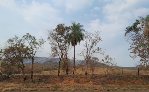 “Serra de Maracaju está pegando fogo”, diz leitor ao passar por rodovia 