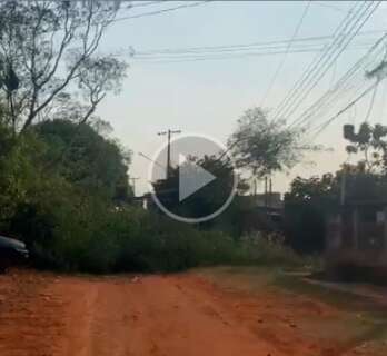 Árvore cai, fecha rua e deixa moradores do Lageado sem luz