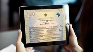 Versão eletrônica da Certidão de Nascimento brasileira (Foto: Divulgação Governo Federal)