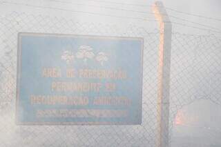 Placa de reserva ambiental encoberto com fumaça no Taquaral Bosque (Foto: Henrique Kawaminami)