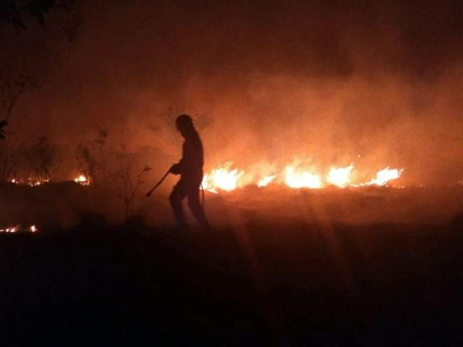 Miranda declara situação de emergência diante incêndios florestais