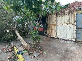 Árvore caída em calçada e portão improvisado fechando o imóvel. (Foto: Marcos Maluf)