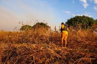Ribeirinho corumbaense em área de mata seca (Foto: Henrique Kawaminami)