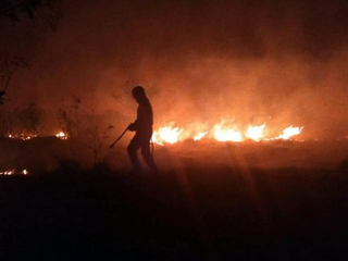 Bombeiro controla incêndio em vegetação. (Foto: Arquivo/Campo Grande News)