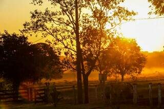 Pôr do Sol visto do CLC (Clube de Laço Comprido), em Campo Grande. (Foto: Juliano Almeida)