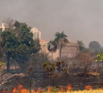 "Todo ano pega fogo": morador reclama de incêndio em terreno no Seminário