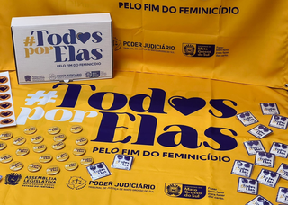 Material de divulgação da campanha #TodasPorElas conta com bandeira, brinco de coração lilás e botons (Foto: Divulgação)