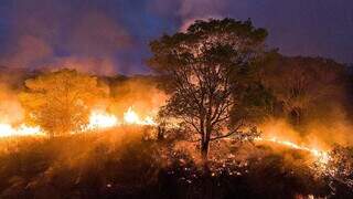 Fogo no Pantanal em um dos anos de piores registros de incêndios no bioma. De acordo com informações do PrevFogo (Ibama), 98% das queimadas no bioma são oriundas de ações humanas. (Foto: Iberê Périssé/Projeto Solos)