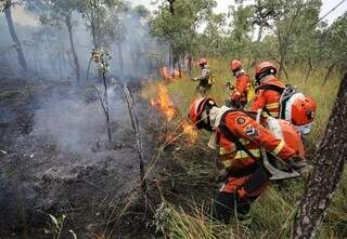 Governo quer autorização para poder fazer contratação simplificada de bombeiros (Fto: Divulgação Corpo de Bombeiros)