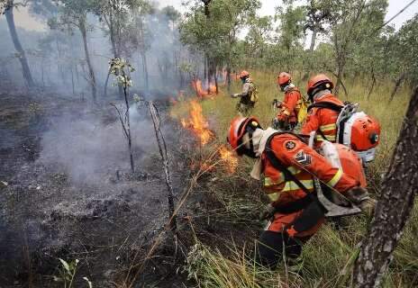 Contratação de bombeiros temporários passa pela CCJ e vai à votação