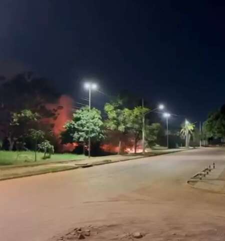 Chamas em vegeta&ccedil;&atilde;o se alastram ao redor de lagoa no Bairro Tiradentes