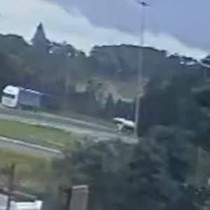Freio de carreta falha e motorista de MS morre em acidente impressionante
