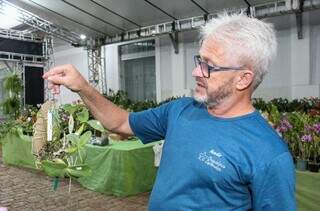 Em vasos ou &aacute;rvores, cultivo de orqu&iacute;deas &eacute; mais f&aacute;cil do que parece  