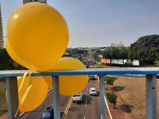 Balões alusivos ao &#34;Setembro Amarelo&#34; pendurados em viaduto da Capital (Foto: Caroline Maldonado/Arquivo)