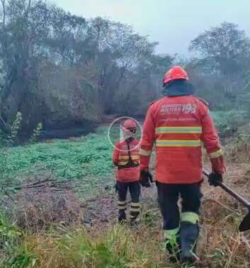 Chuva alivia fogo no Pantanal, mas bombeiros seguem em 6 focos ativos