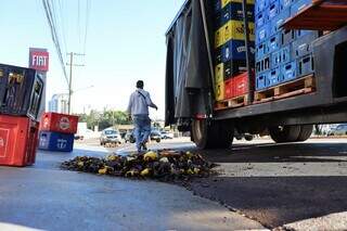 Garrafas de cerveja recolhidas após cair do caminhão, que está com a lona aberta (Foto: Osmar Veiga)