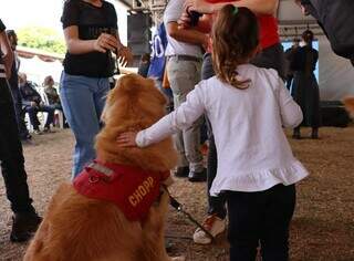 Menina faz carinho no pelo macio do Chopp, um dos cães terapeutas do Corpo de Bombeiros (Foto: Osmar Veiga)