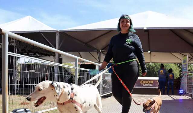 Festival Vida Animal tem Cine Pet, feira de ado&ccedil;&atilde;o e at&eacute; desfile de c&atilde;es