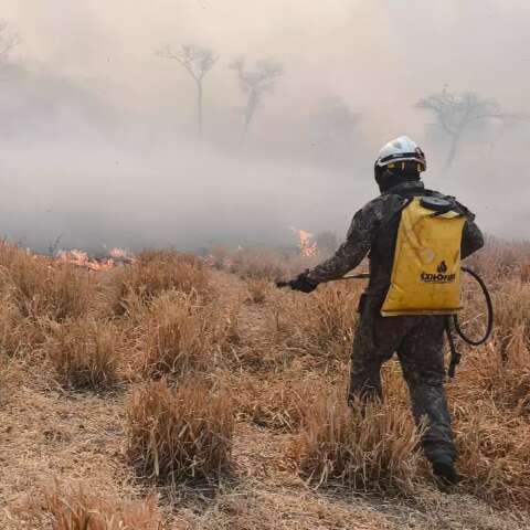 Mesmo com chuva, 4 regi&otilde;es t&ecirc;m focos de inc&ecirc;ndios no Pantanal