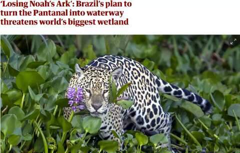 The Guardian chama Pantanal de "Arca de Noé" e critica governo brasileiro