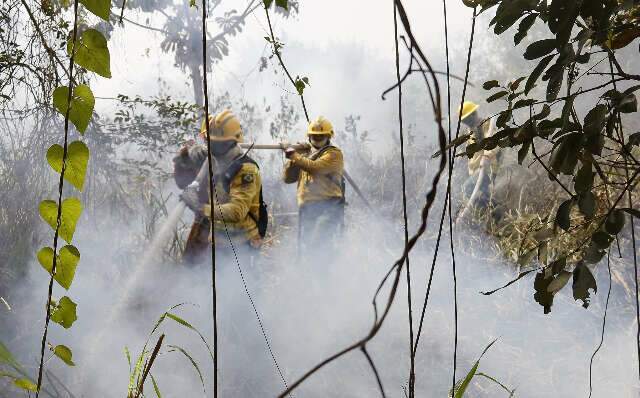 Brigadistas do Prevfogo articulam forma&ccedil;&atilde;o de peritos em inc&ecirc;ndios florestais