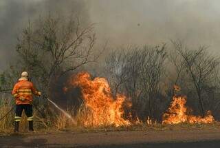 Bombeiro apagando fogo em vegetação da BR-262, em Miranda (Foto: Bruno Rezende)