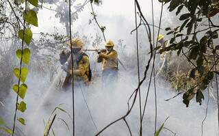 Brigasdistas do Prevfogo em trabalho de combate a um foco de incêndio em Corumbá (Foto: Fernando Donasci/MMA)