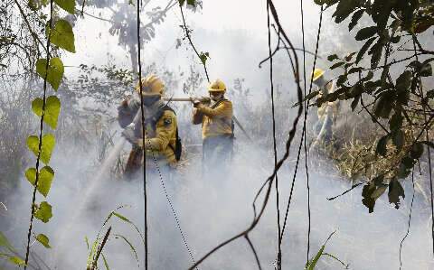 Brigadistas do Prevfogo articulam formação de peritos em incêndios florestais