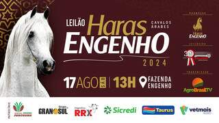 6&ordm; Leil&atilde;o Haras Engenho apresenta sele&ccedil;&atilde;o de alto n&iacute;vel de Cavalos &Aacute;rabes