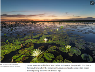 Foto de trecho do Rio Paraguai publicado na matéria do The Guardian (Foto: Reprodução)