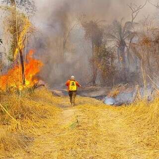 Brigadista de MS combate incêndio em corredor boliviano (Foto: Divulgação/Instituto Homem Pantaneiro)