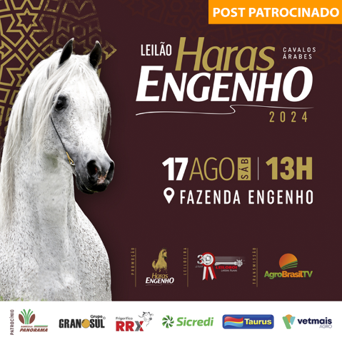 6&ordm; Leil&atilde;o Haras Engenho apresenta sele&ccedil;&atilde;o de alto n&iacute;vel de Cavalos &Aacute;rabes