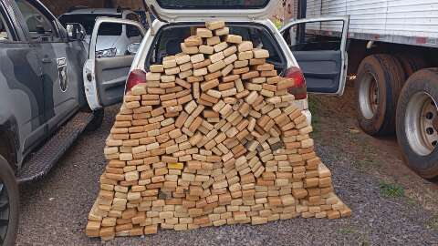 Pane em carro "recheado" leva polícia a descobrir 369 kg de maconha