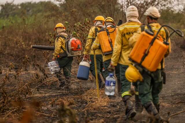 Ibama compra &aacute;gua mineral e loca banheiros para brigadistas que atuam em MS