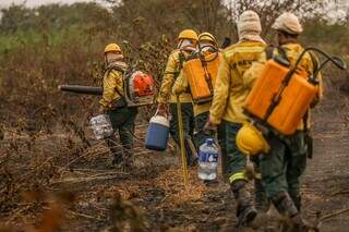 Brigadistas do Ibama seguindo mata adentro para combater o fogo em Corumbá/MS (Foto: Marcelo Camargo/Agência Brasil)