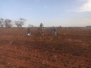 Indígenas montam barraco em área ocupada no município de Douradina (Foto: Direto das Ruas)