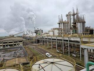 Biodigestor da planta da Adecoagro de Ivinhema produz 6 metros cúbicos de biogás a partir de vinhaça ao dia (Foto: Mairinco de Pauda/Semadesc)