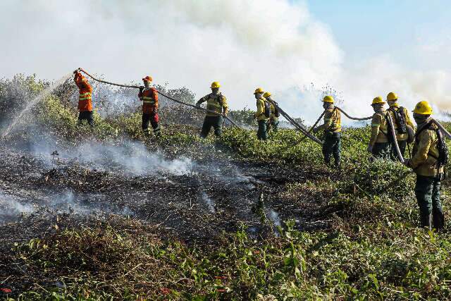 Para evitar que mais fogo chegue a MS, combatentes ajudam Mato Grosso