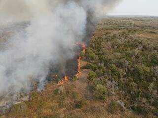 Incêndio em fazenda localizada no Pantanal de Corumbá (Foto: Divulgação/Ligabom/Corpo de Bombeiros)