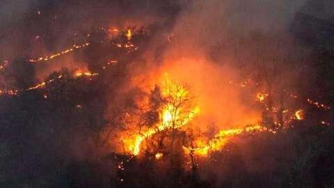 Ap&oacute;s chuva, Pantanal j&aacute; acumula mais de 2,4 mil focos de inc&ecirc;ndio em agosto