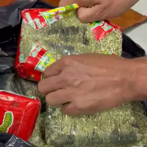 Traficantes usam erva de terer&eacute; para enviar droga pelos Correios