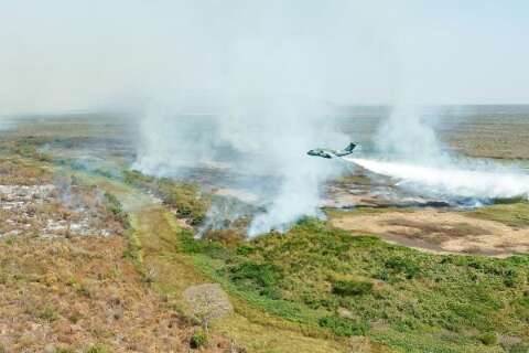 Pantanal: Exército superou 1 milhão de litros de água no combate aos incêndios