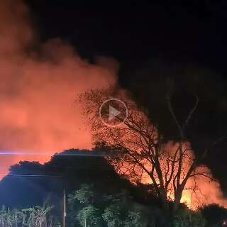 Parque dos Ervais é evacuado após incêndio neste domingo 