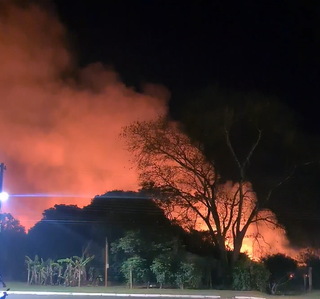 Fumaça subindo em incêndio no Parque dos Ervais em Ponta Porã (Foto: Direto das Ruas)