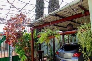 Quintal da casa tem muitas plantas e árvores (Foto: Juliano Almeida)